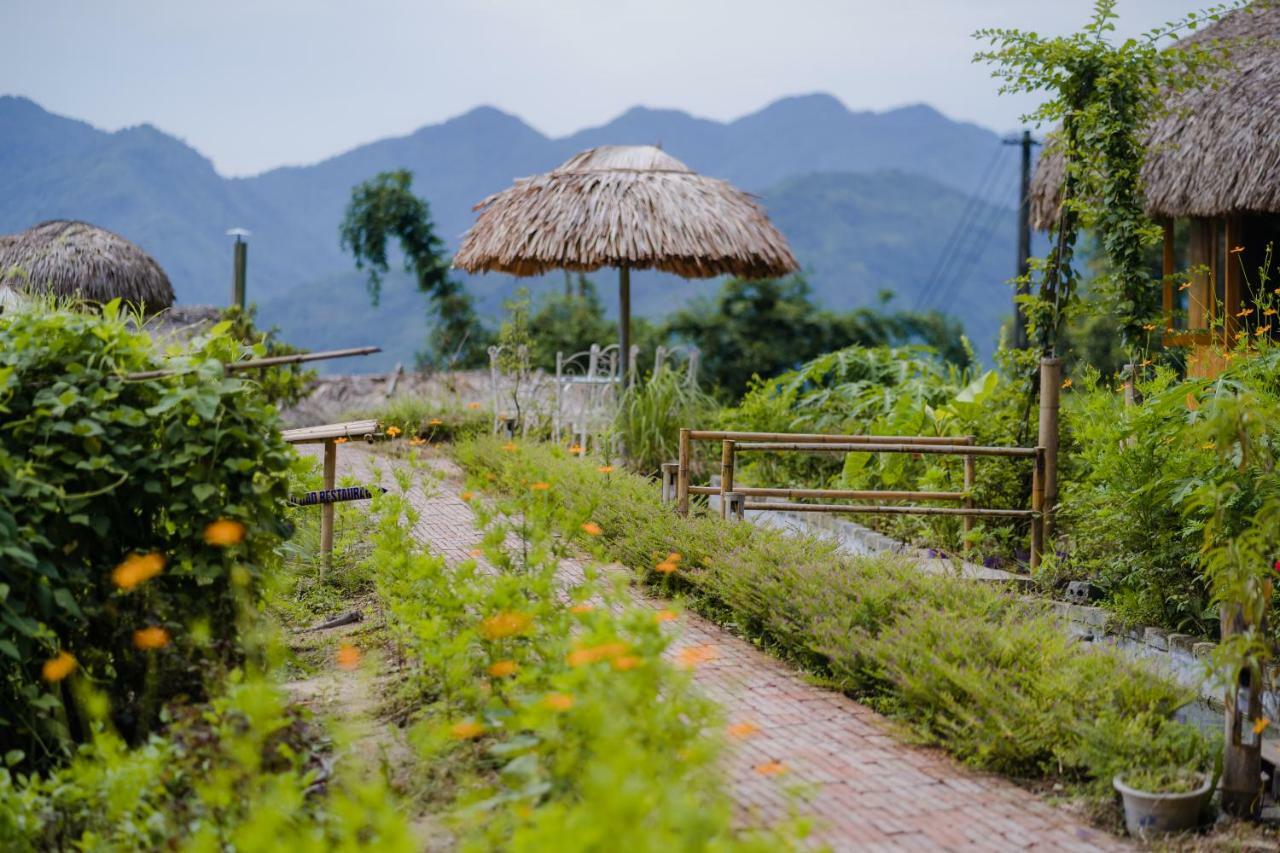 Hoang Su Phi Lodge Ha Giang Dış mekan fotoğraf